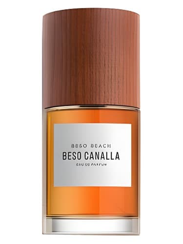 Beso Canalla - بسو کانالا