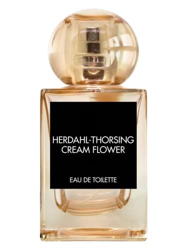Cream Flower - گل کرم