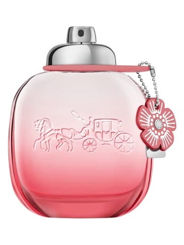 Coach Floral Blush - مربی رژگونه گل