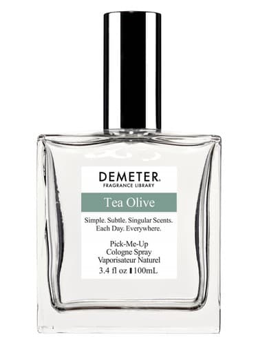 Tea Olive