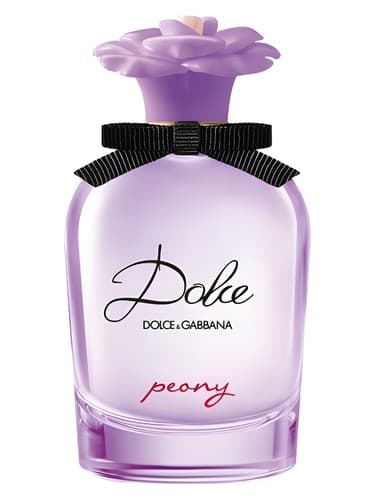 Dolce Peony - دولچه گل صد تومانی