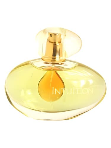 Intuition - شهود