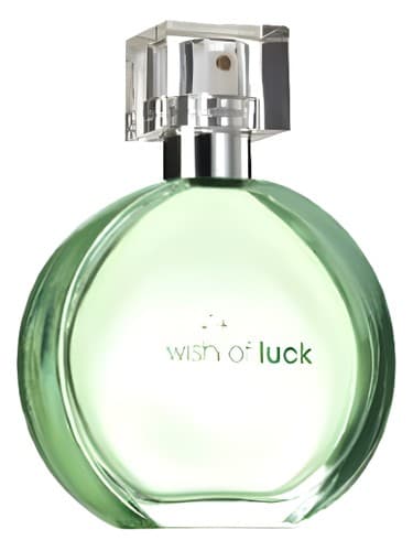 Wish of Luck - آرزوی شانس
