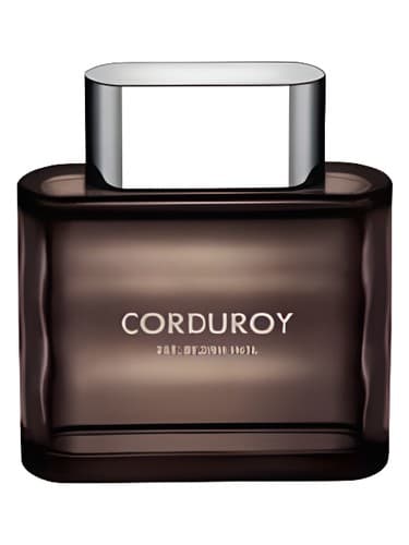 Corduroy - کادوی