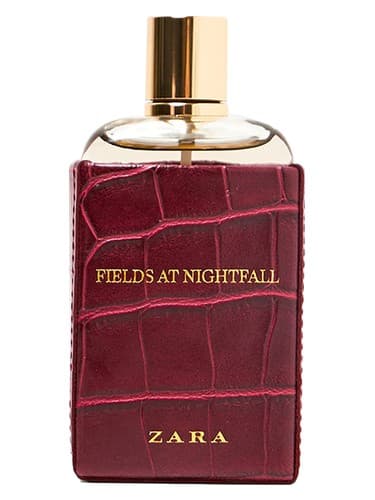 Fields at Nightfall 2018