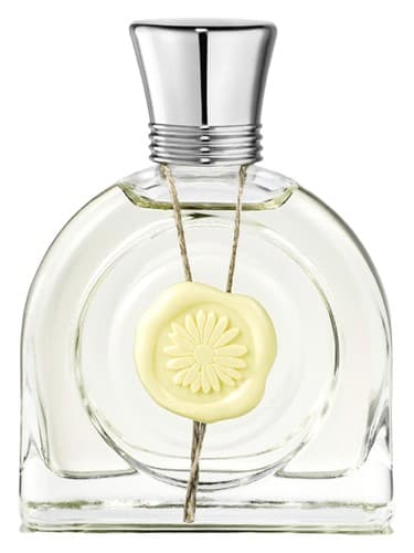Fleur Lumière