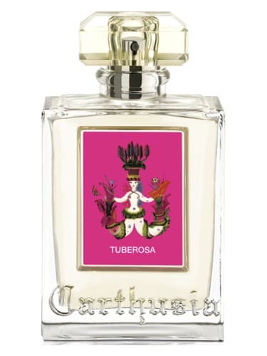 Tuberosa - توبروسا