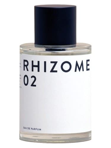 Rhizome 02 - ریزوم 02