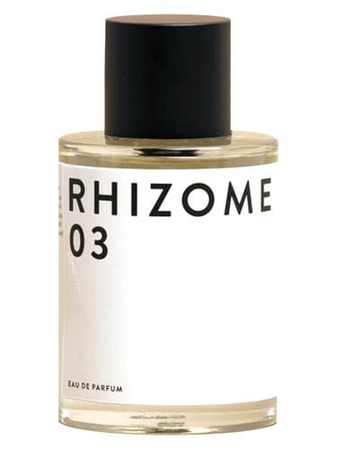 Rhizome 03 - ریزوم 03
