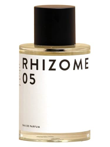 Rhizome 05