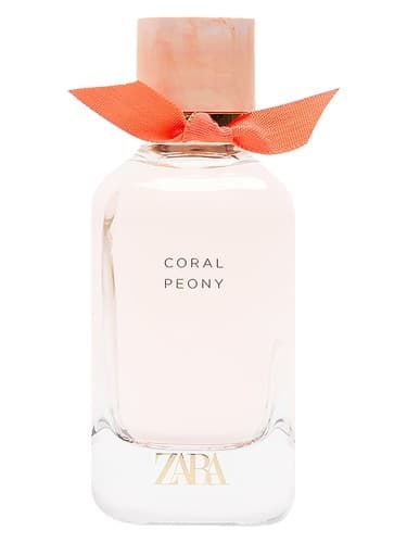Coral Peony - گل صد تومانی مرجانی