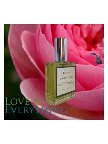 Love is Everything - لاو همه چیز است