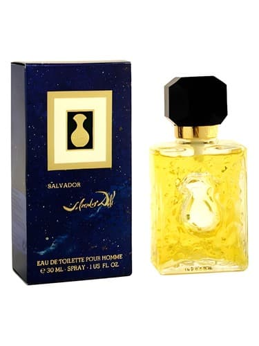 Salvador by Salvador Dali (1992) - سالوادور اثر سالوادور دالی (1992)