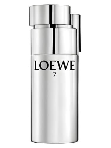 Loewe 7 Plata 
