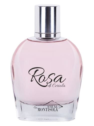 Rosa di Ceriola 