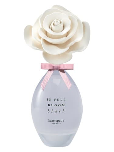 In Full Bloom Blush - در رژگونه کامل شکوفه