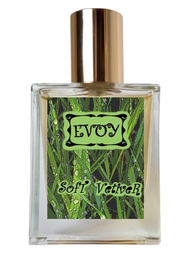 Soft Vetiver - وتیور نرم
