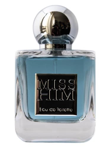 Miss Him - دلتنگ او