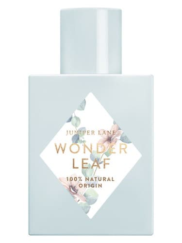 Wonder Leaf - واندر لیف
