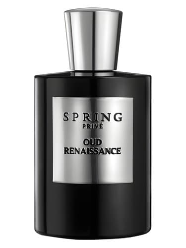Oud Renaissance - رنسانس عود