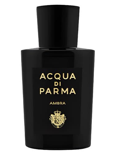 Ambra Eau de Parfum - ادو پرفیوم آمبرا