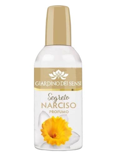 Segreto Narciso - سگرتو نارسیسو