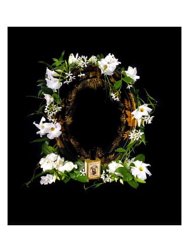 Flowers Nocturnal