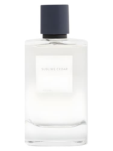 Sublime Cedar