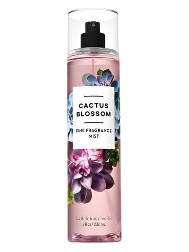 Cactus Blossom