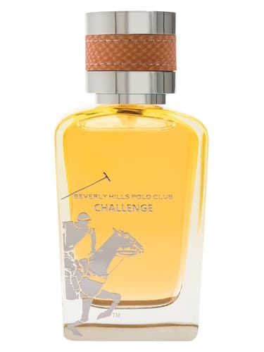 Challenge - چالش