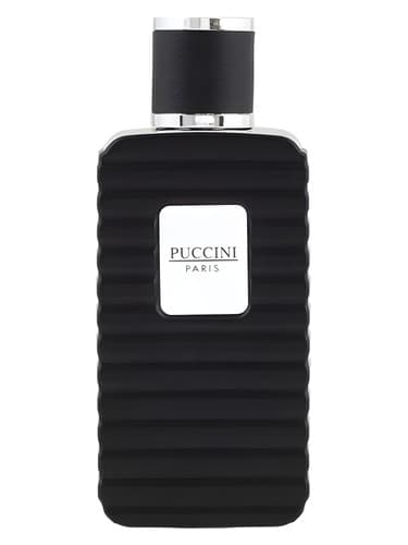 Puccini Men Black 