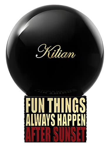 Fun Things Always Happen After Sunset - چیزهای سرگرم کننده همیشه بعد از غروب سان اتفاق می افتد