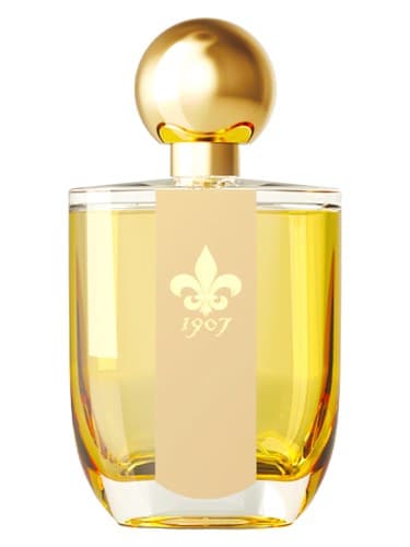 Dame D’Or 