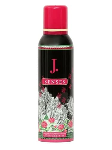 J. Senses 