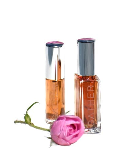 Rainwater Rose - گل رز واتر باران