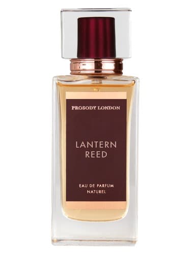 Lantern Reed - فانوس نی