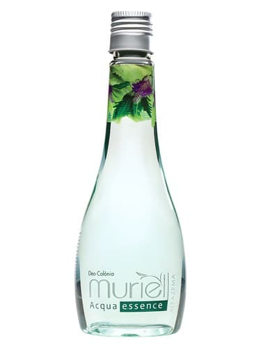 Acqua Essence Alfazema