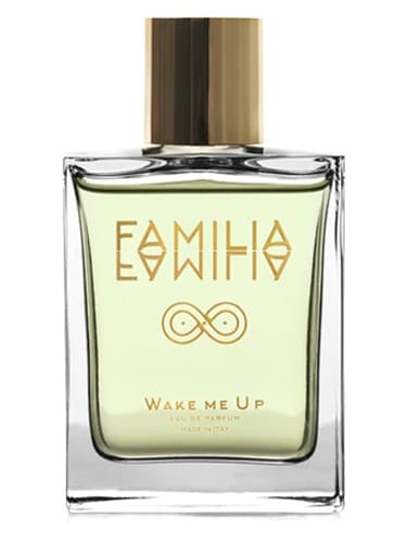 Wake Me Up - بیدارم کن