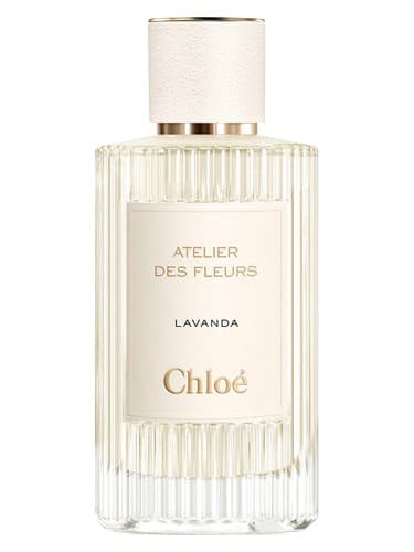 Lavanda