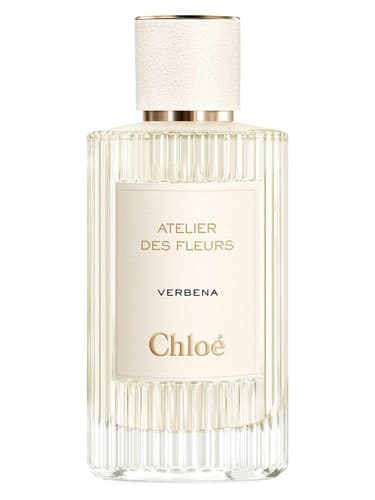 Verbena