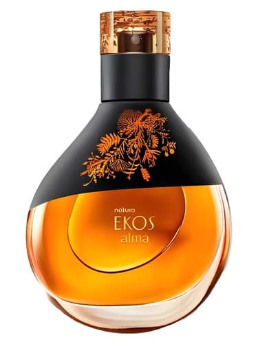 Ekos Alma - اکوس آلما