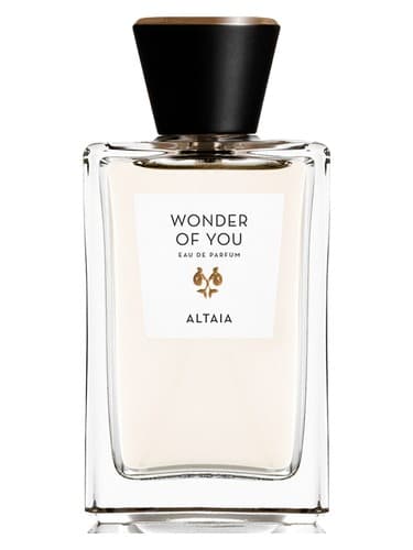Wonder Of You - شگفتی شما