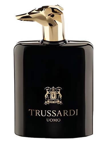 Trussardi Uomo Eau de Parfum - ادو پرفیوم تروساردی اومو
