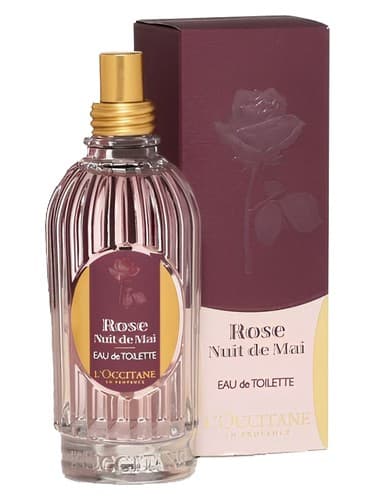Rose Nuit de Mai