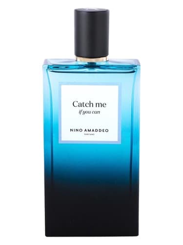 Catch Me If You Can - اگر می توانی مرا بگیر