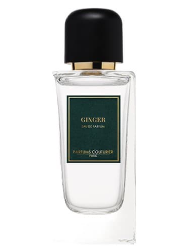 Ginger - زنجبیل