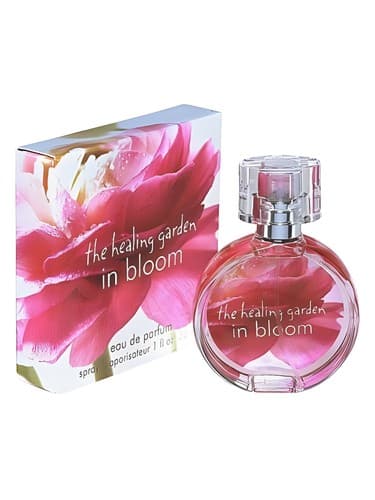 In Bloom - در بلوم