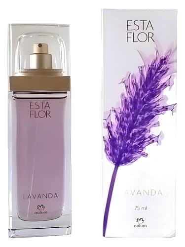 Esta Flor Lavanda - استا فلور لاواندا