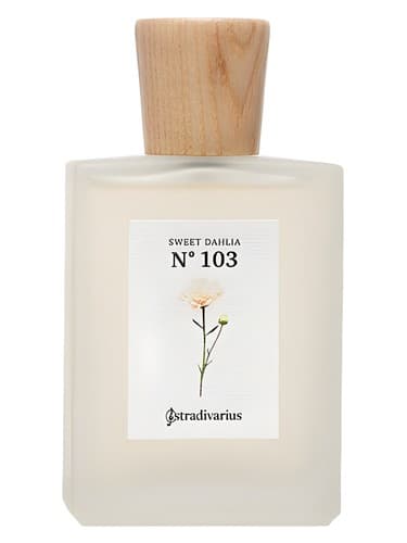 N° 103 Sweet Dahlia - شماره 103 کوکب سوییت