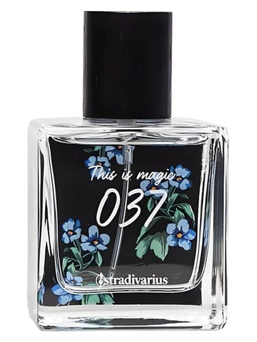 037 This Is Magic - 037 این مجیک است